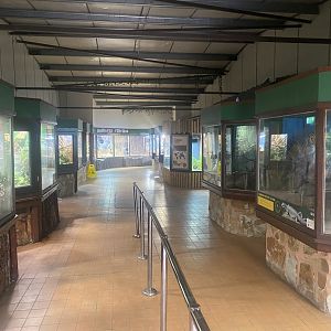 Reptile House 040324