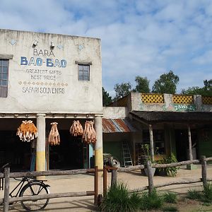 Themed gift shop, 2023-08-15