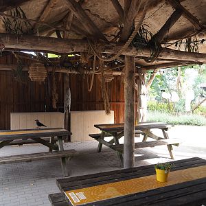 Covered sitting and eating area with theming (and a scavenging jackdaw), 2023-08-15