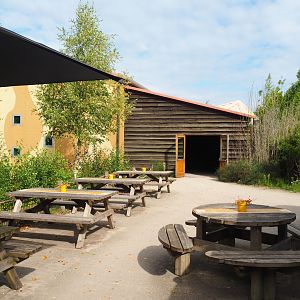 Sitting and eating area and entrance to Chimpanzee, Gorilla and Mangabey house, 2023-08-15