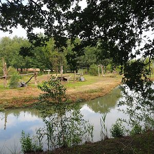 Chimpanzee island, 2023-08-15