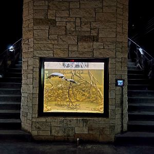 Reptilandia Reptile Lagoon - Fly River Turtle Exhibit