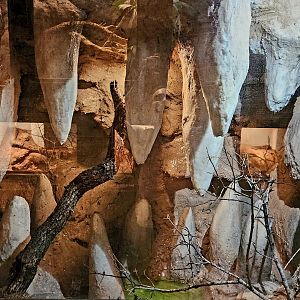 Reptilandia Reptile Lagoon - Latin American Cave Exhibit