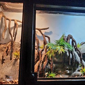 Reptilandia Reptile Lagoon - Cuban Boa Exhibit