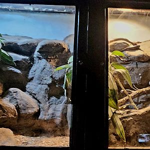 Reptilandia Reptile Lagoon - Dominican Red Mountain Boa Exhibit