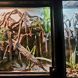 Reptilandia Reptile Lagoon - Bahamian Boa Exhibit