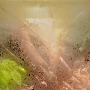 Reptilandia Reptile Lagoon - Jamaican Boa Exhibit