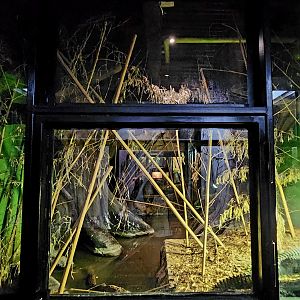 Reptilandia Reptile Lagoon - Dwarf Crocodile Exhibit