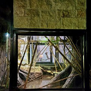 Reptilandia Reptile Lagoon - Dwarf Crocodile Exhibit