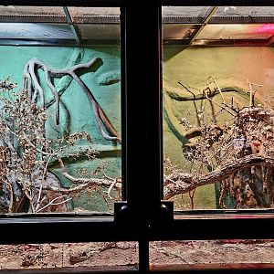 Reptilandia Reptile Lagoon - Hog Island Boa Exhibit