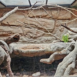 Reptilandia Reptile Lagoon - Madagascar Ground Boa Exhibit