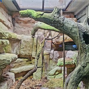 Reptilandia Reptile Lagoon - Olive Python Exhibit