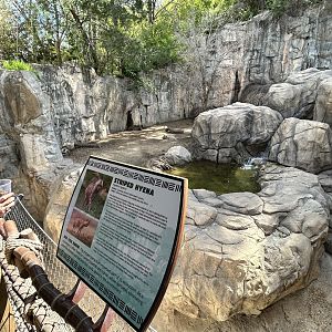 Striped Hyena Enclosure