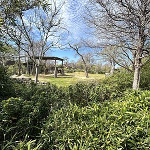 Another Elephant Springs Yard