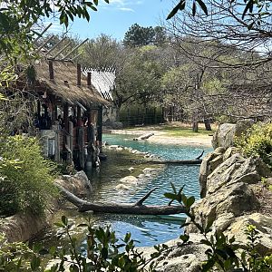 Elephant Springs Outlook