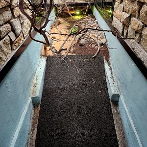 Reptilandia Reptile Lagoon - Carettochelys River