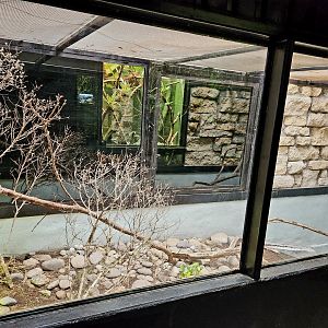 Reptilandia Reptile Lagoon - Carettochelys River