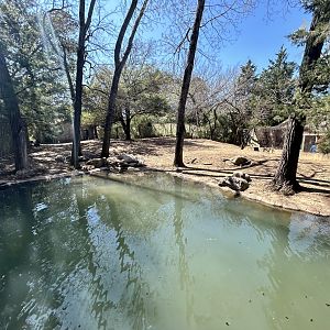 Deer/Turkey Enclosure