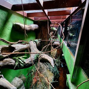 Reptilandia Reptile Lagoon - Crocodile Monitor Kingdom