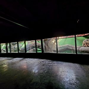 Reptilandia Reptile Lagoon - Crocodile Monitor Kingdom