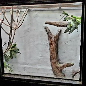 Reptilandia Reptile Lagoon - Northeast Australian Exhibit