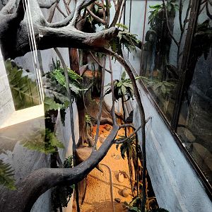 Reptilandia Reptile Lagoon - Northeast Australian Exhibit