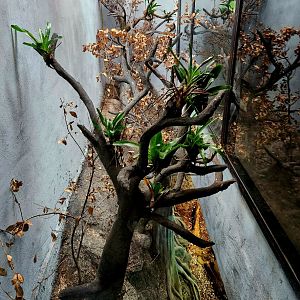 Reptilandia Reptile Lagoon - Cuban Exhibit