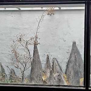 Reptilandia Reptile Lagoon - Tsingy Peaks Exhibit