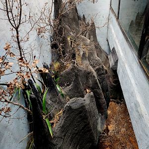 Reptilandia Reptile Lagoon - Tsingy Peaks Exhibit