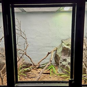 Reptilandia Reptile Lagoon - Gila Monster Exhibit