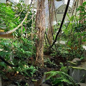 Birdhouse - Main hall