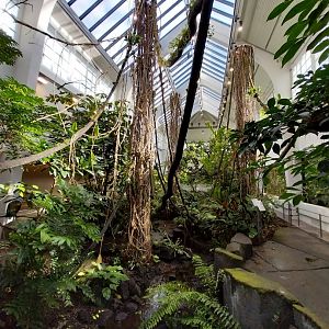 Birdhouse - Main hall