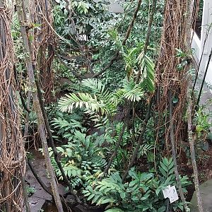 Birdhouse - Main hall