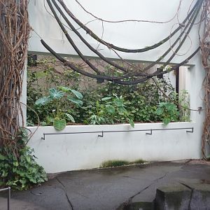 Birdhouse - Main hall - Kilimanjaro white-eye refuge aviary