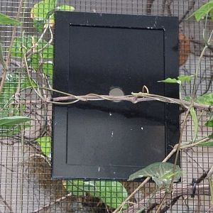 Birdhouse - Main hall - Kilimanjaro white-eye refuge aviary