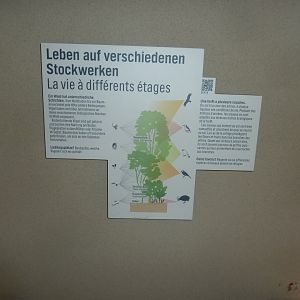 Birdhouse - Main hall - Information sign at the two-storey viewing platforms