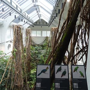 Birdhouse - Main hall