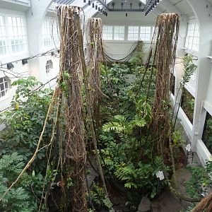 Birdhouse - Main hall