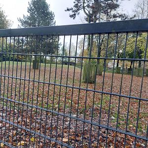 Jezersko–Solčava sheep enclosure (Stadtpark Emsdetten)