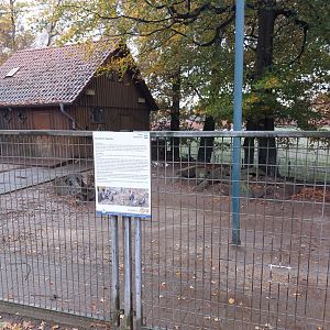 West African dwarf goat and Deutsche Sperber chicken enclosure (Stadtpark Emsdetten)