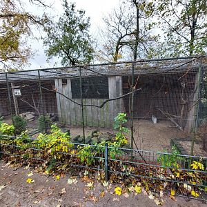 Aviary with Red-crowned parakeet and eurupean quail (Stadtpark Emsdetten)