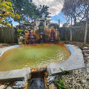 Everglades Alligator Farm (2024) - American Crocodile enclosure