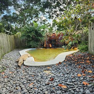 Everglades Alligator Farm (2024) - Orinoco Crocodile enclosure