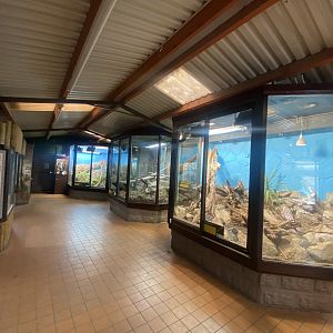 Reptile House 040324