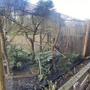 Northern treeshrew exhibit 040324