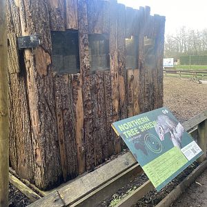 Northern treeshrew exhibit 040324