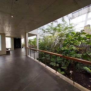 Birdhouse - Jewels of the air