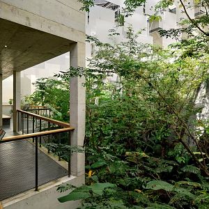 Birdhouse - Jewels of the air