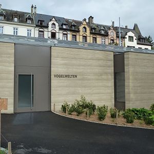 Birdhouse - Jewels of the air