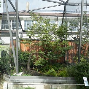 Birdhouse - Visayan Hornbill aviary